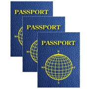 ASHLEY PRODUCTIONS Blank Passports, 12 Per Pack, PK3 10708